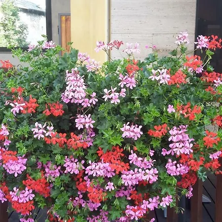 Otel Ristorante Centro