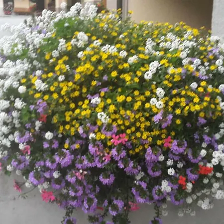 Ristorante Centro Hotel 2*