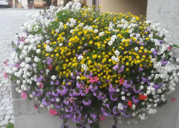 Ristorante Centro ホテル 2*